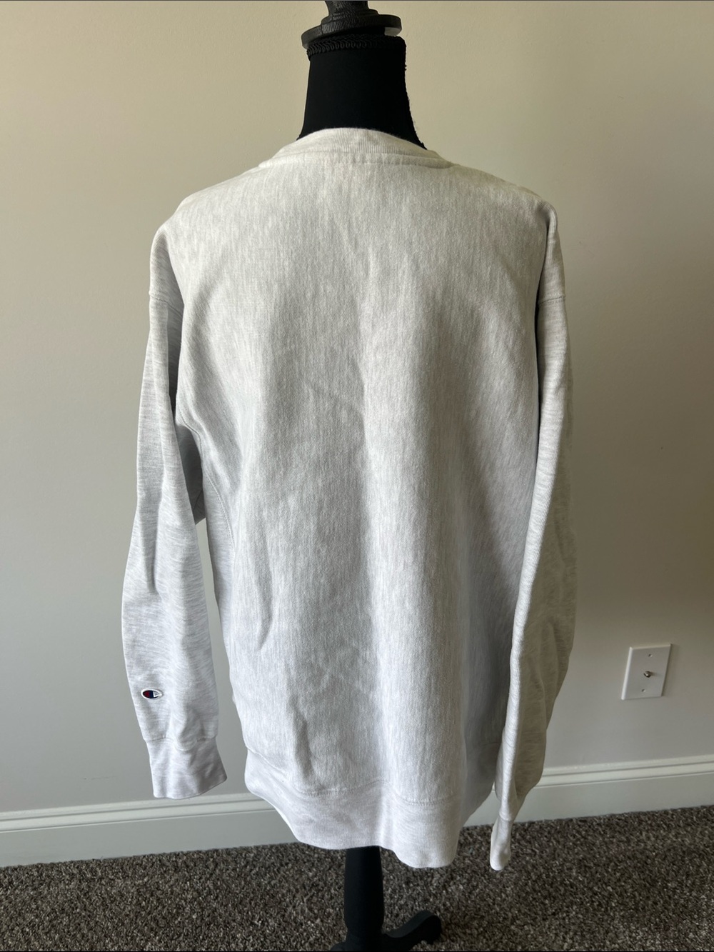 Champion Salty Dog Graphic Sweatshirt in Light Gray Oversized - Picture 3 of 7